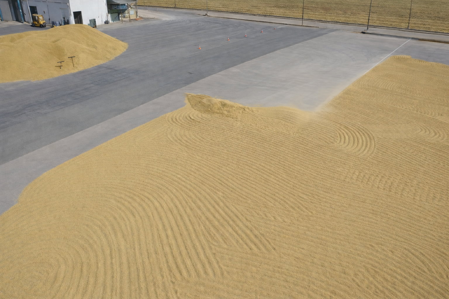 Secado tradicional de arroz